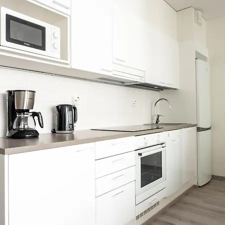 Uusi Asunto Ydinkeskustassa, Wifi, Ilmainen Pysaekoeinti Lejlighed