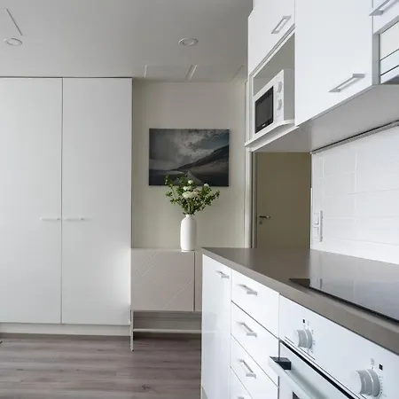 Uusi Asunto Ydinkeskustassa, Wifi, Ilmainen Pysaekoeinti Lappeenranta