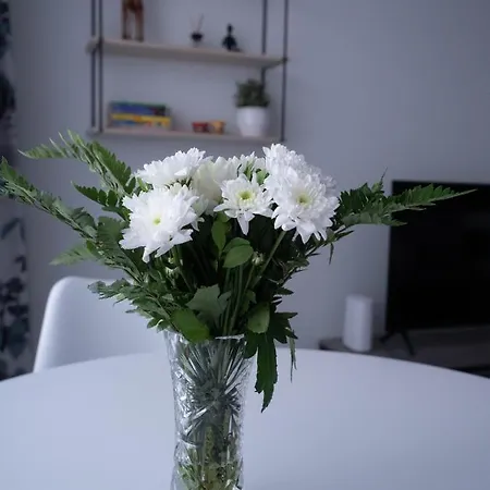 Uusi Asunto Ydinkeskustassa, Wifi, Ilmainen Pysaekoeinti