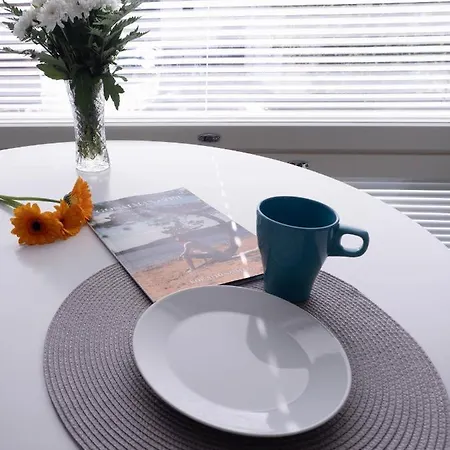 Lejlighed Uusi Asunto Ydinkeskustassa, Wifi, Ilmainen Pysaekoeinti
