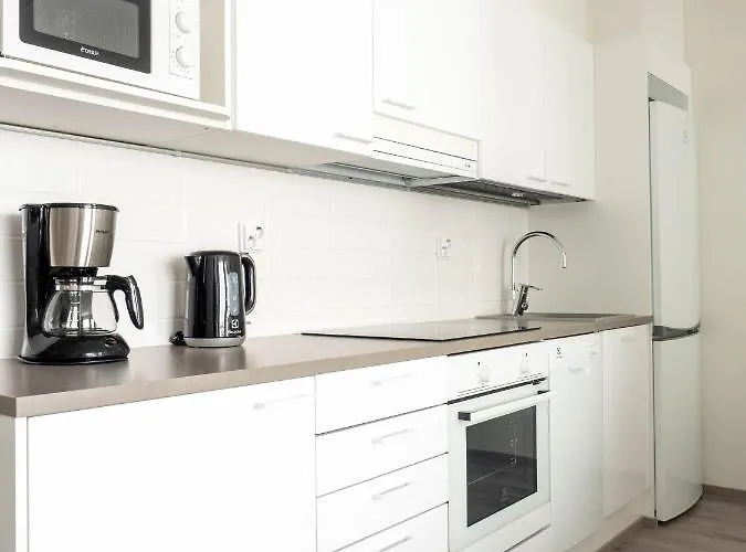 Uusi Asunto Ydinkeskustassa, Wifi, Ilmainen Pysaekoeinti Apartamento