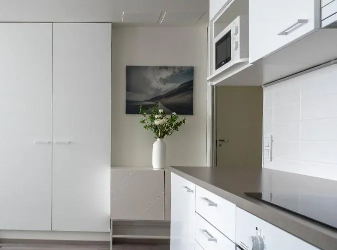 Uusi Asunto Ydinkeskustassa, Wifi, Ilmainen Pysaekoeinti Lappeenranta