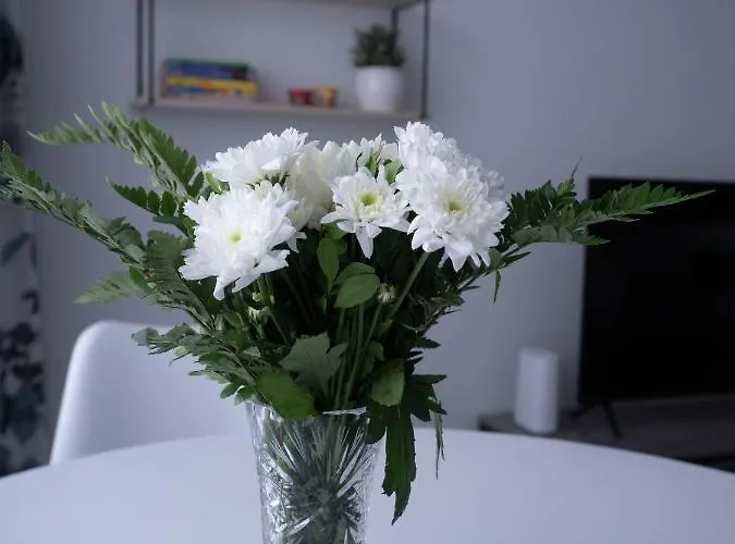 Uusi Asunto Ydinkeskustassa, Wifi, Ilmainen Pysaekoeinti